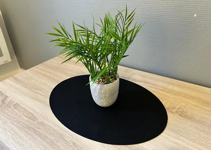 Apartamento Cocon A Cote De La Angulema